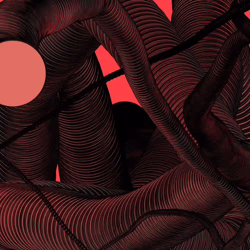 Wormhole #1944