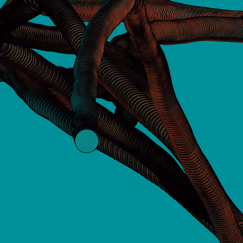 Wormhole #214