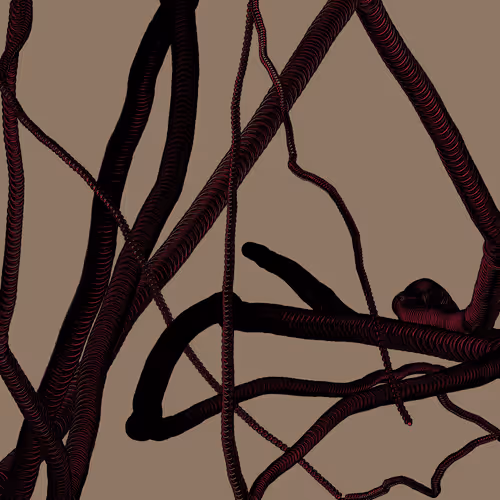 Wormhole #833