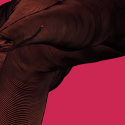 Wormhole #1552