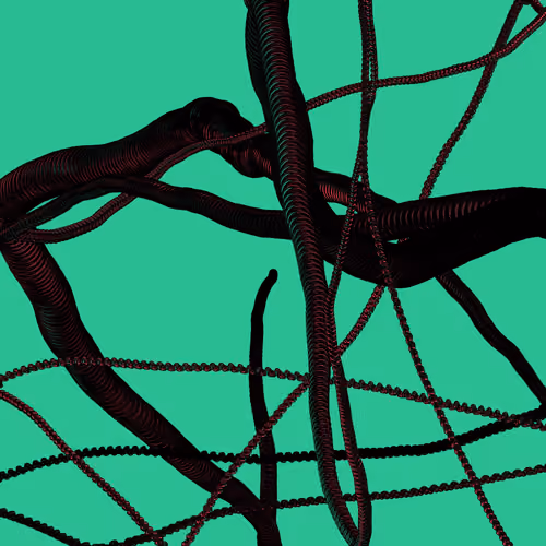 Wormhole #903
