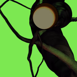 Wormhole #1037