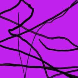 Wormhole #50