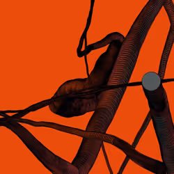 Wormhole #925
