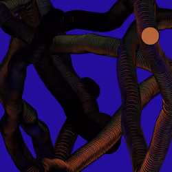 Wormhole #1251