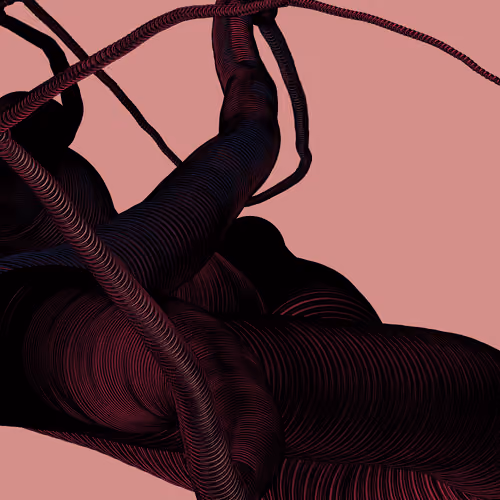 Wormhole #1237
