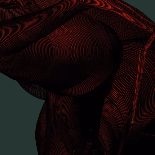 Wormhole #1155