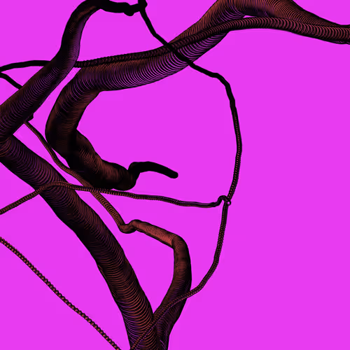 Wormhole #985