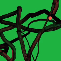 Wormhole #1125
