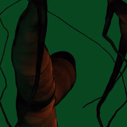 Wormhole #25