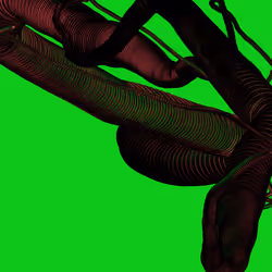 Wormhole #1410