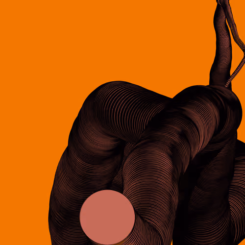 Wormhole #730