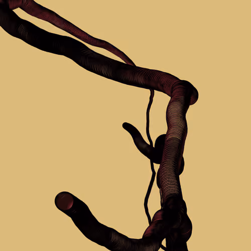 Wormhole #1042