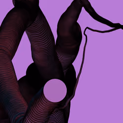 Wormhole #80