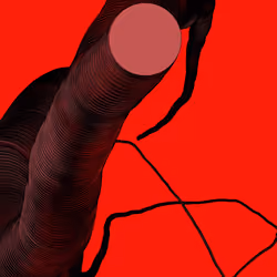 Wormhole #577