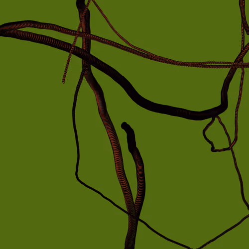 Wormhole #294