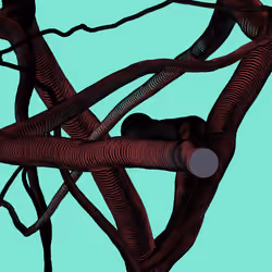 Wormhole #950