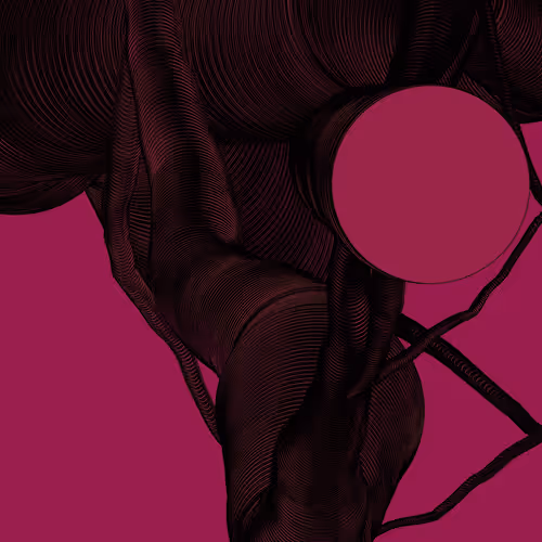 Wormhole #791