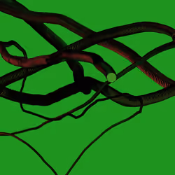 Wormhole #1185