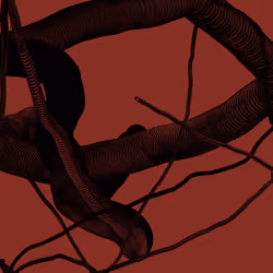 Wormhole #1076