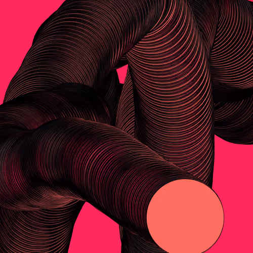 Wormhole #355