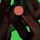 225