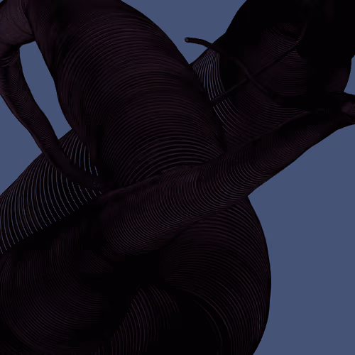 Wormhole #564