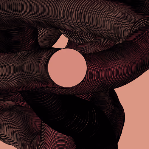 Wormhole #1114