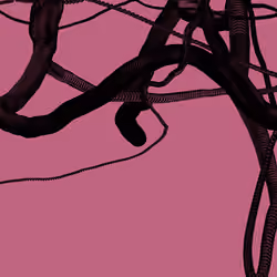 Wormhole #5