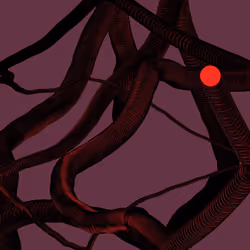 Wormhole #81