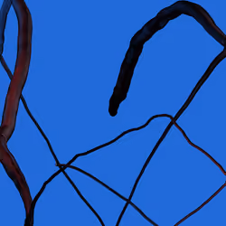 Wormhole #1182