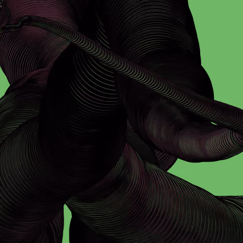 Wormhole #1355