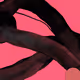 346