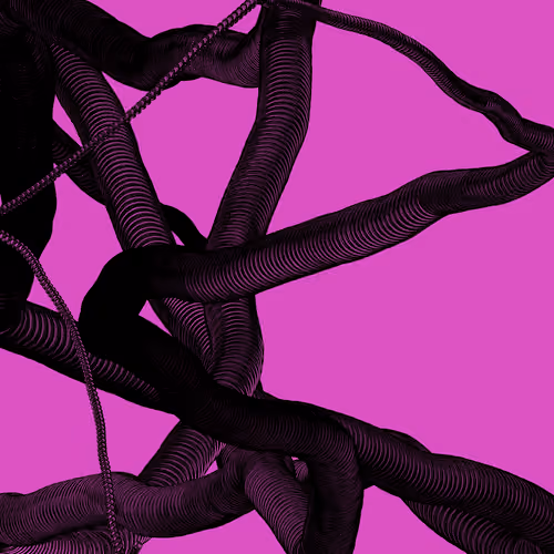 Wormhole #1147