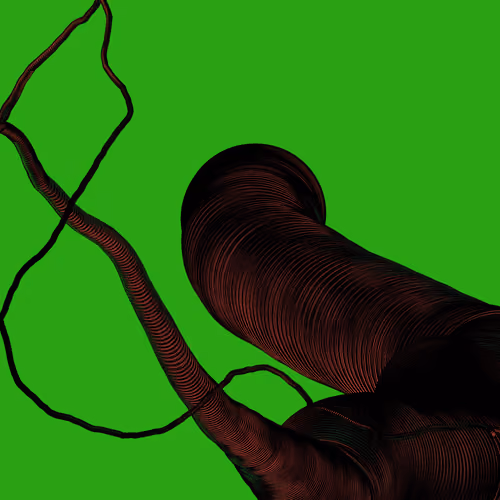 Wormhole #939