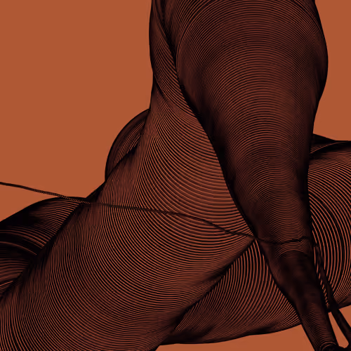 Wormhole #350