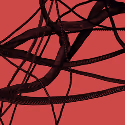 Wormhole #1480