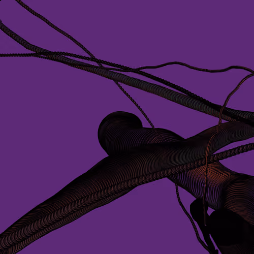 Wormhole #216