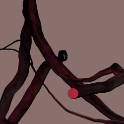 Wormhole #956