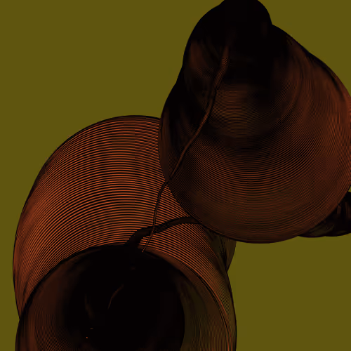 Wormhole #120