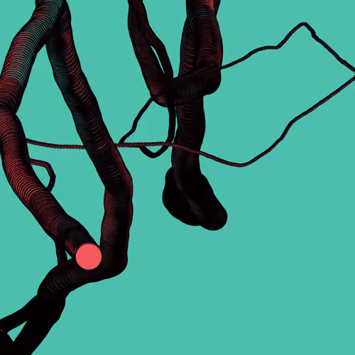 Wormhole #249
