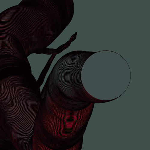 Wormhole #675