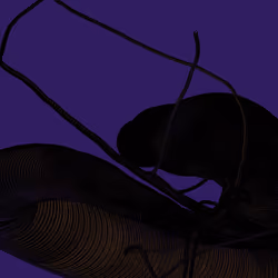 Wormhole #993