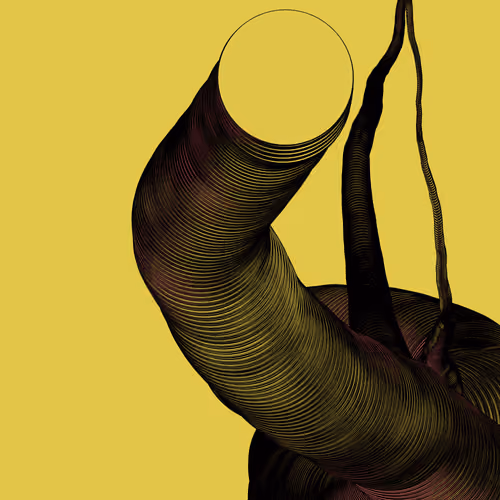 Wormhole #907