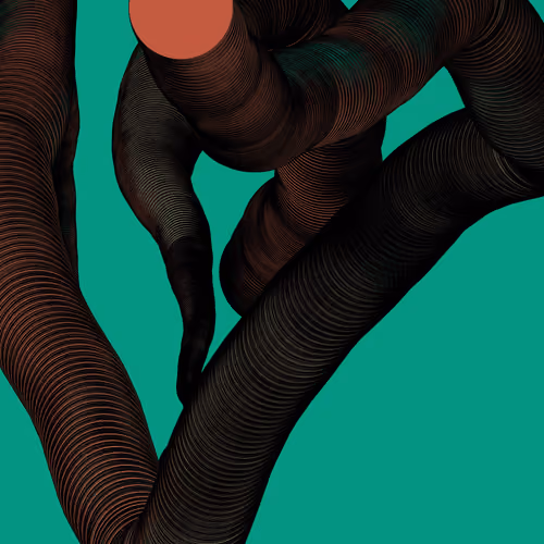 Wormhole #1629