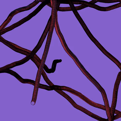 Wormhole #1103