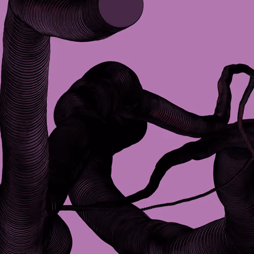 Wormhole #191