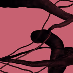 Wormhole #1543