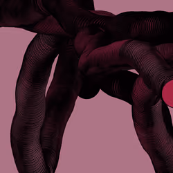 Wormhole #302