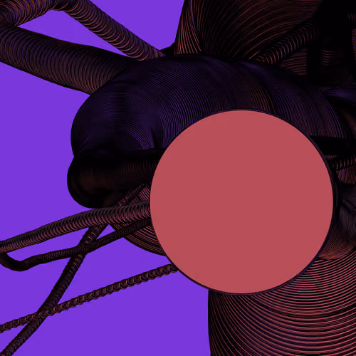 Wormhole #1298